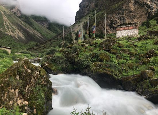 bhutan/gasa/attraction/gangyul-village