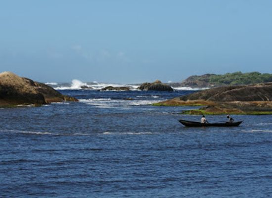 madagascar/atsimo-atsinanana/attraction/sainte-luce-reserve