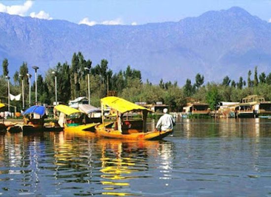india/kashmir-great-lakes/attraction/tulip-garden-srinagar