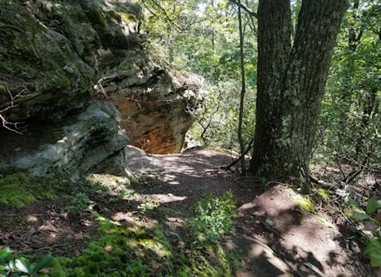 ohio/hocking-hills/attraction/christmas-rocks-state-nature-preserve