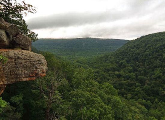 arkansas/arkansas-river-valley/attraction/upper-buffalo-wilderness