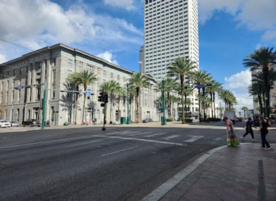 louisiana/new-orleans/central-business-district/attraction/us-custom-house