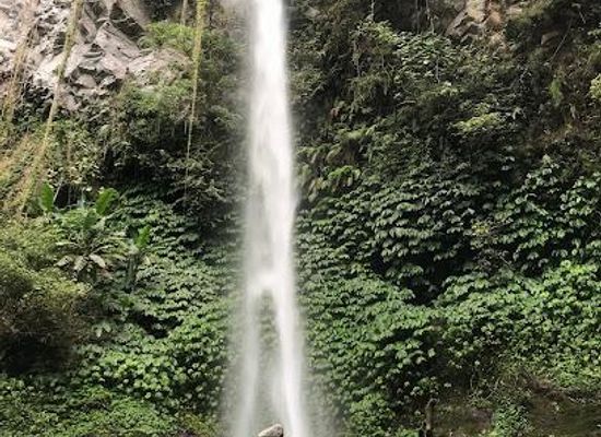 indonesia/bali/attraction/waterfall-pupuan