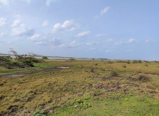 india/andhra-pradesh/attraction/gachakayala-pora-moghha