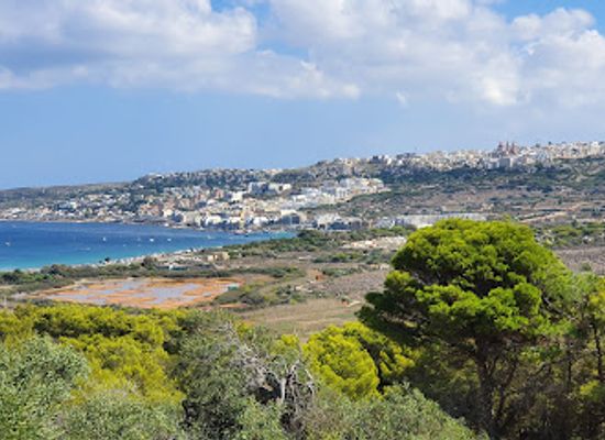 malta/mellieha/attraction/foresta-2000-nature-reserve