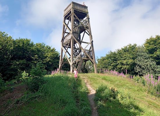 denmark/thy-national-park/attraction/trolden-ask-fra-ashoj