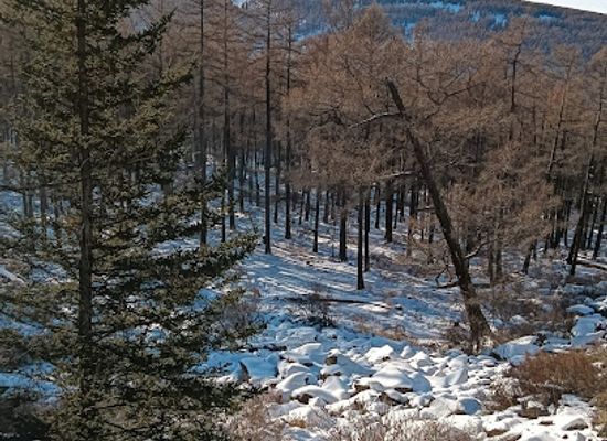 mongolia/bogd-khan-mountain/attraction/Ikh-Khairkhan
