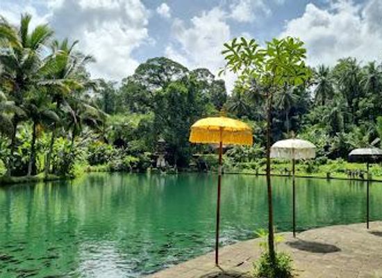indonesia/bali/attraction/taman-mumbul-sangeh