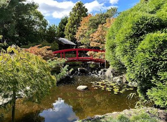 australia/hobart/attraction/royal-tasmanian-botanical-gardens