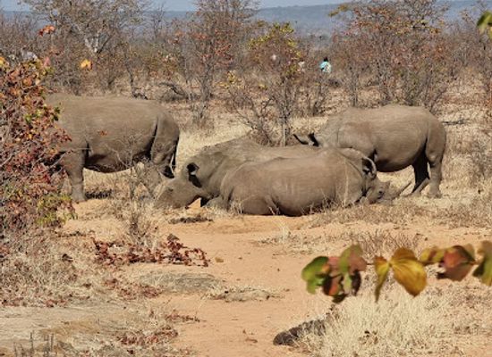 zambia/northern-province/attraction/mosi-oa-tunya-national-park