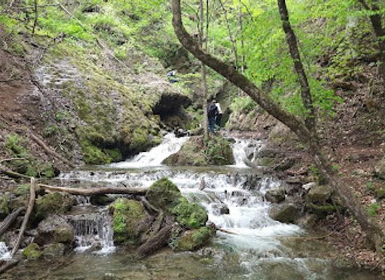 armenia/dilijan-national-park/attraction/hike-tavush