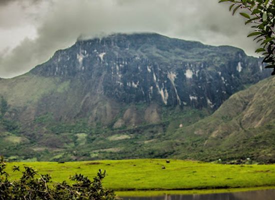 panama/ngabe-bugle-comarca/attraction/cienaga-mono