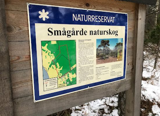 sweden/gotaland/attraction/smagarde-natural-forest