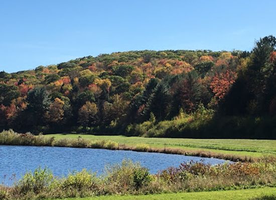 connecticut/central-connecticut/attraction/sunnybrook-state-park
