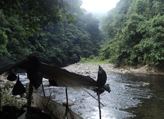 indonesia/bukit-lawang/attraction/bukit-lawang-planet-hijau