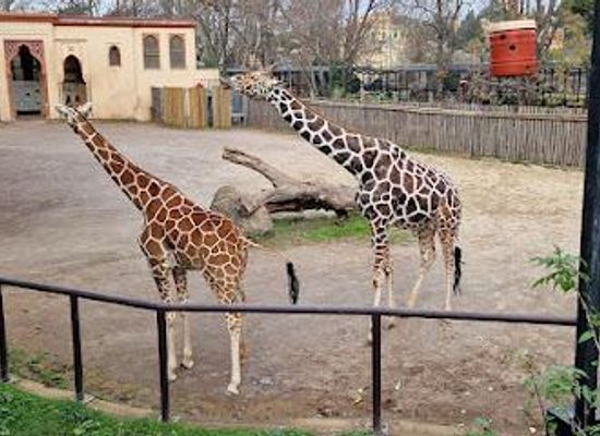 italy/rome/attraction/bioparco-di-roma