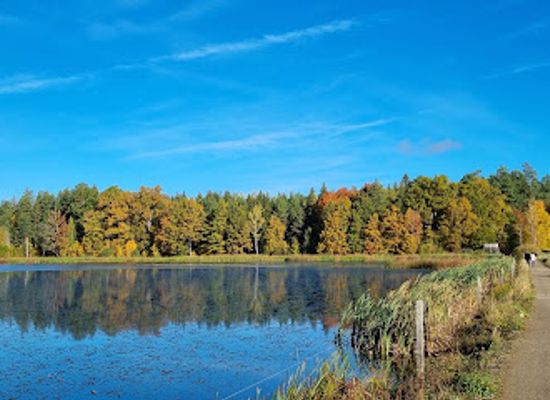 sweden/linkoping/attraction/ullstammaskogens-naturreservat
