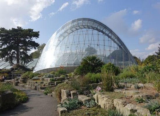 united-kingdom/london/attraction/davies-alpine-house