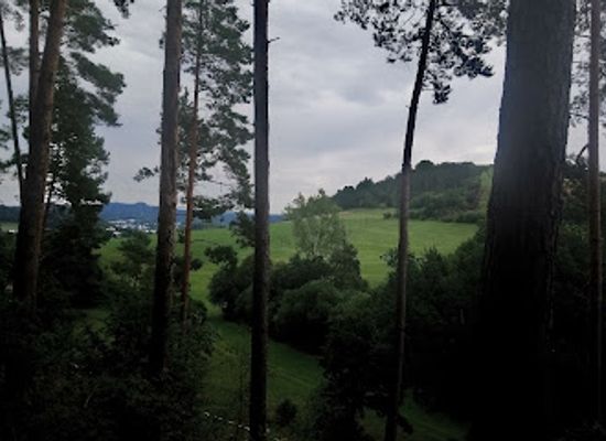 germany/eifel/attraction/buntsandstein-felsen
