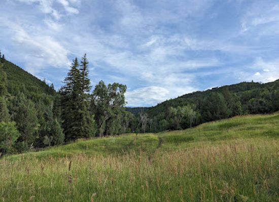 utah/uinta-wasatch-cache-national-forest/attraction/packard-canyon-trailhead