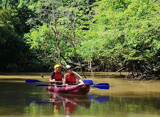 colombia/macarena-range/attraction/avistamiento-de-fauna-y-flora-sobre-kayak-puente-2