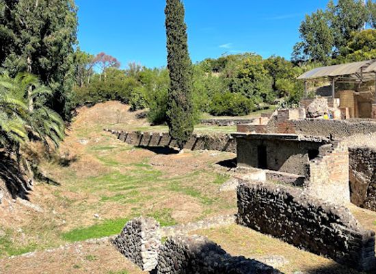 italy/pompeii/attraction/casa-di-leda-e-il-cigno