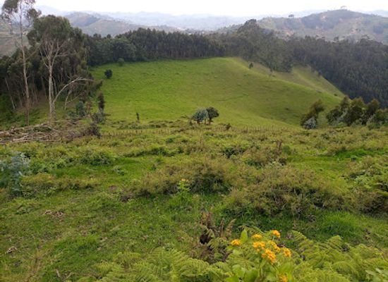 rwanda/cyangugu/attraction/gishwati-mukura-national-park-and-biosphere-reserve
