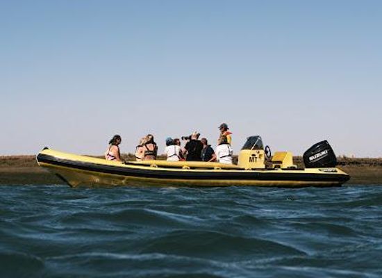 portugal/faro/attraction/ria-formosa-boat-tours-animaris-desert-island