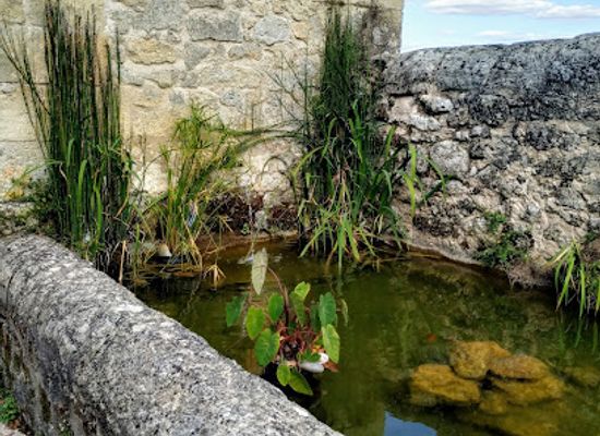 france/aquitaine/attraction/chateau-soutard