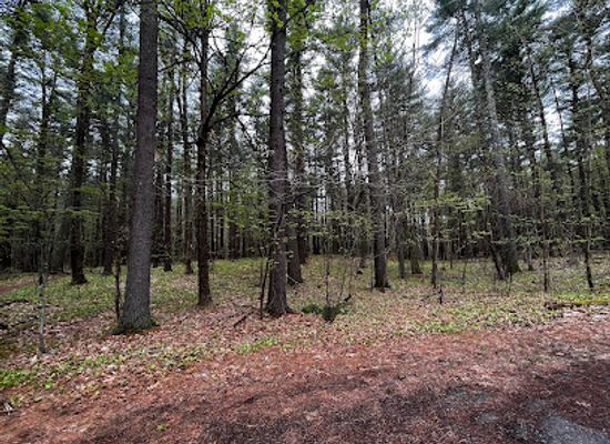 massachusetts/merrimack-valley/attraction/mass-audubon-s-nashoba-brook-wildlife-sanctuary