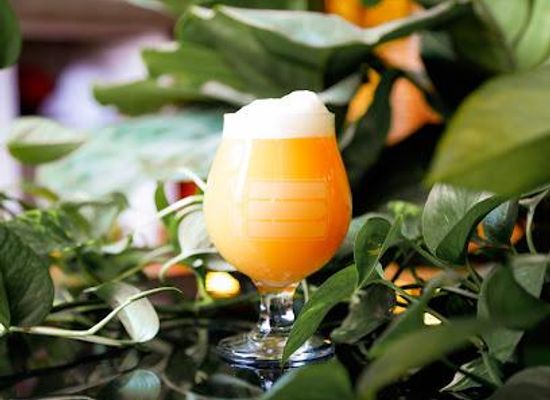 texas/austin/attraction/st-elmo-brewing-company