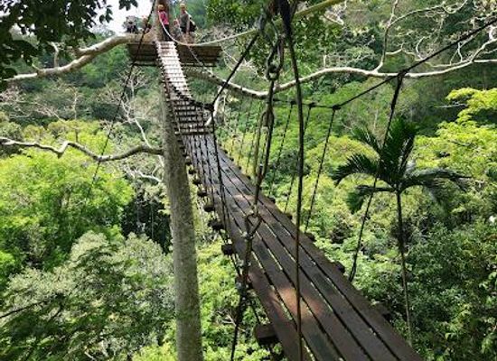 thailand/phuket/attraction/flying-hanuman
