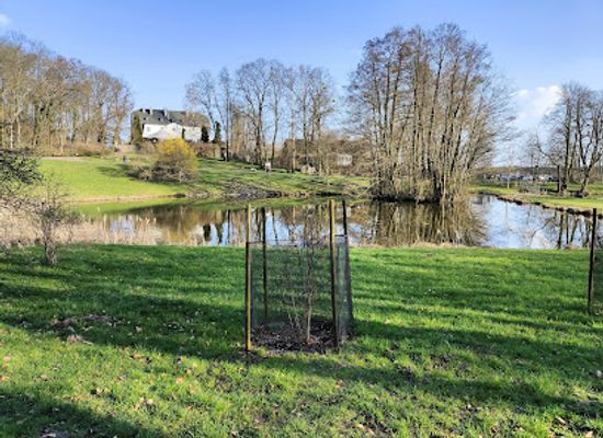 poland/bydgoszcz/attraction/ogrod-botaniczny
