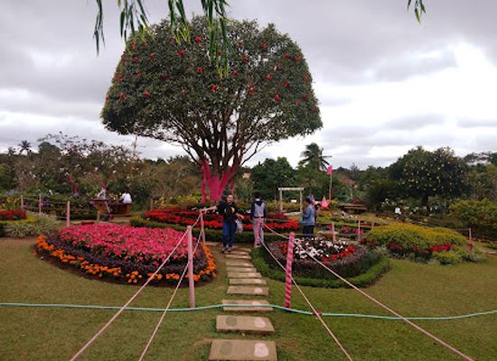 philippines/tagaytay/attraction/paradizoo-theme-park