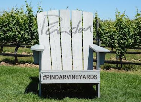 connecticut/hammonasset-beach-state-park/attraction/pindar-vineyards