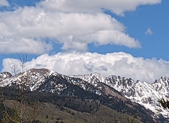 colorado/tenmile-range/attraction/betty-ford-alpine-gardens
