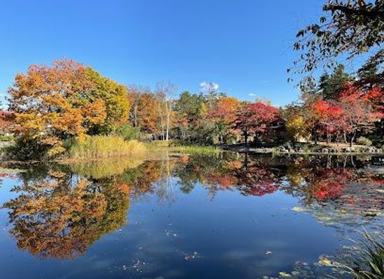 japan/sapporo/attraction/gyokusenkanatochi-park
