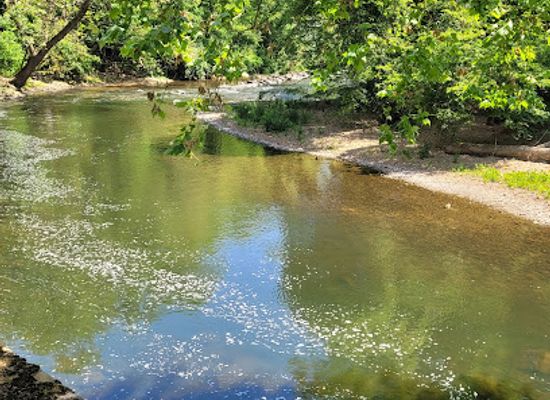 delaware/lums-pond-state-park/attraction/hagley-museum