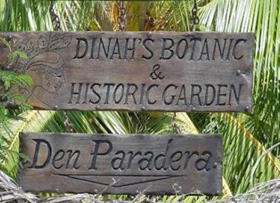 curacao/hato-caves/attraction/den-paradera-herb-garden-curacao-by-dinah-veeris