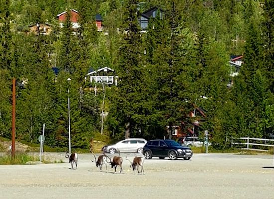 sweden/jamtland/attraction/skistar-vemdalen