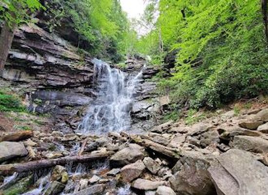pennsylvania/allentown/attraction/lehigh-gorge-state-park