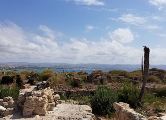 lebanon/south-lebanon/attraction/ruins-of-tyre-the-egyptian-port