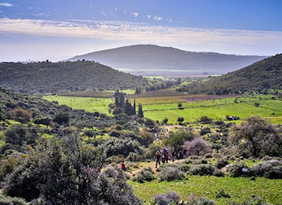 israel/galilee-region/attraction/parod-falls