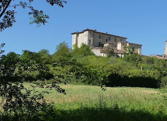 france/midi-pyrenees/attraction/chateau-de-lavardens-cicac-lavardens-association