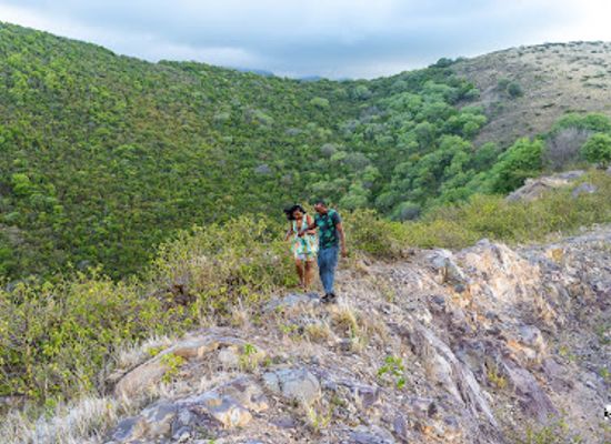 saint-kitts-and-nevis/nevis-peak/attraction/canada-hill-estate