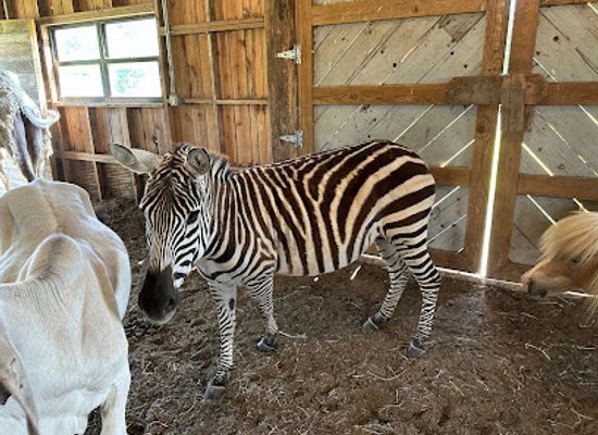oklahoma/lake-and-trail-country/attraction/oasis-animal-adventures
