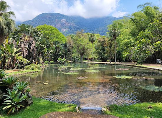 brazil/zona-da-mata/attraction/botanical-garden-of-rio-de-janeiro