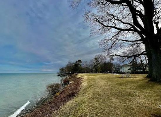 pitcairn-islands/buffalo-town/attraction/ryerson-park