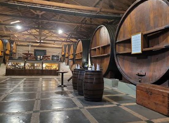 argentina/cuyo/attraction/bodega-la-rural-museo-del-vino-san-felipe