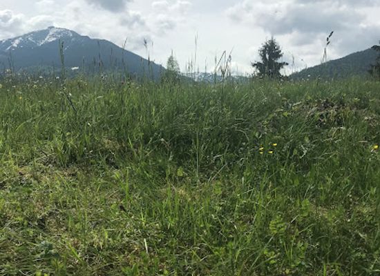 romania/rodnei-mountains/attraction/magura-mare